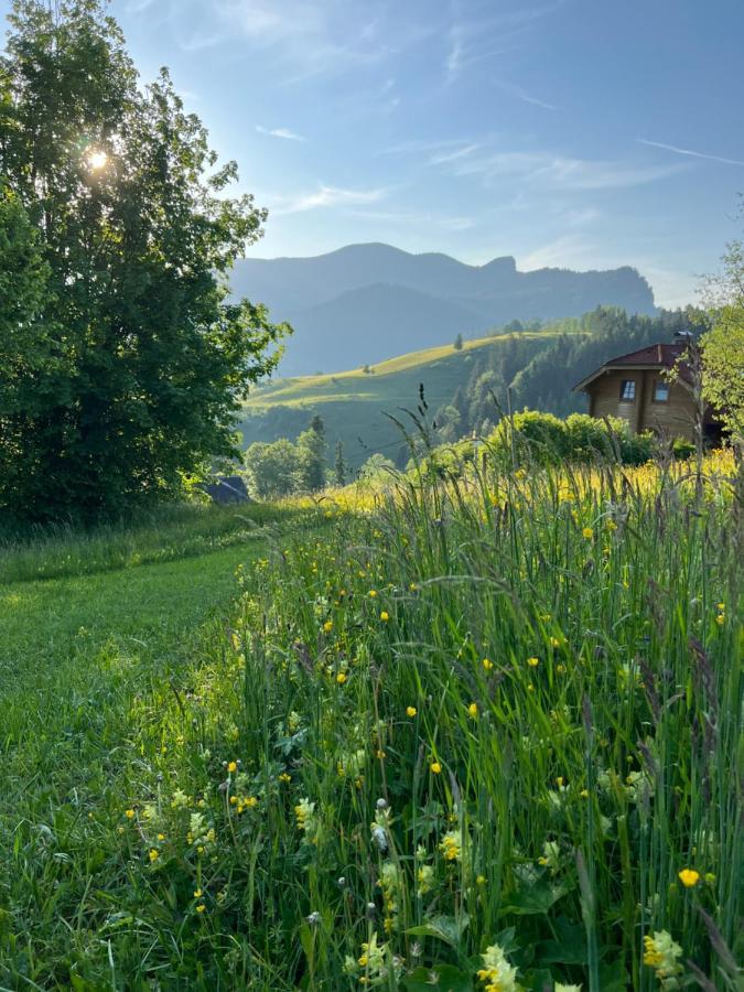 Tauglerei Appartement Enzian In Den Zauberbergen Sankt Koloman Zewnętrze zdjęcie
